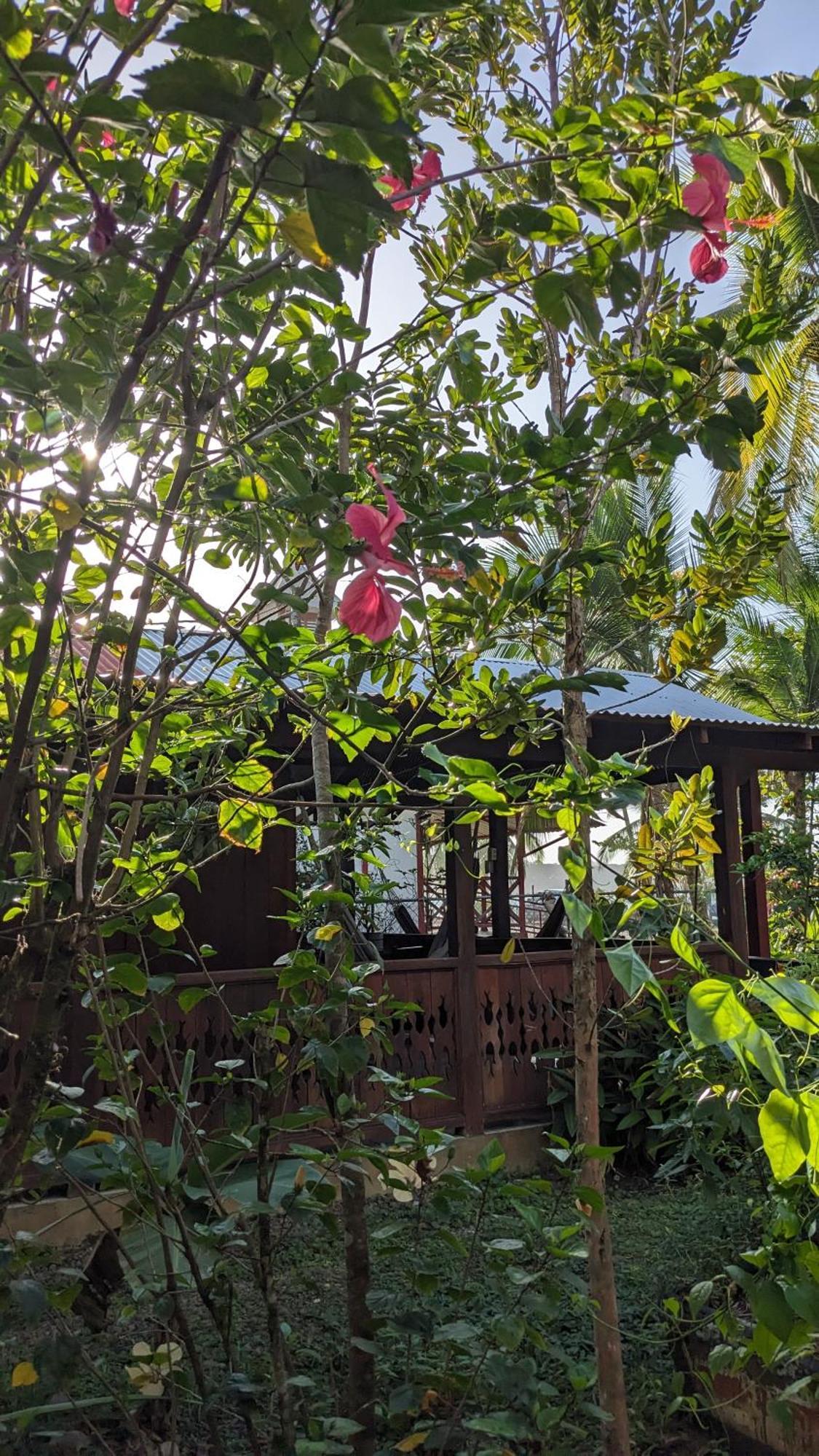 曼萨尼约Casas Del Mar别墅 外观 照片